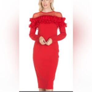 Gracia Vibrant Red Mesh Dress